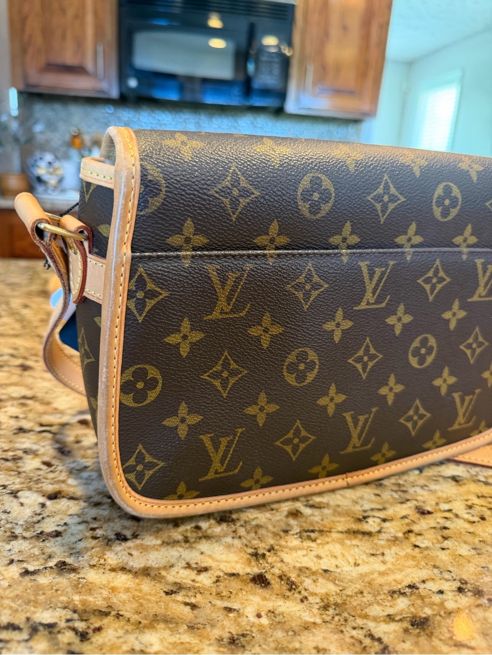 Louis Vuitton Monogram Sologne Crossbody Bag - Picture 9 of 12